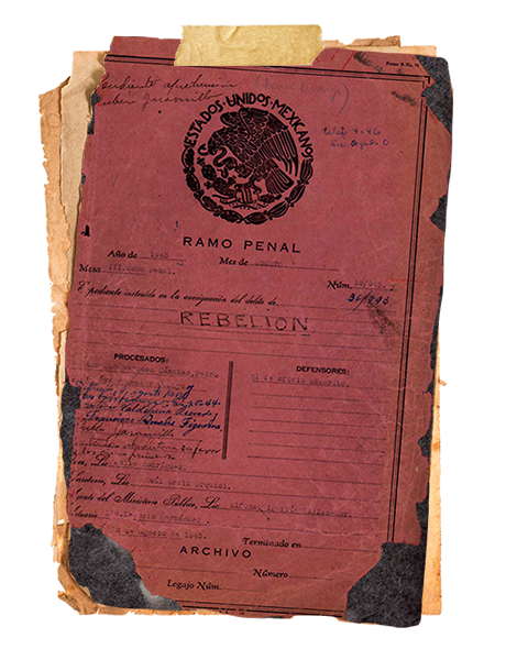 Ver documento